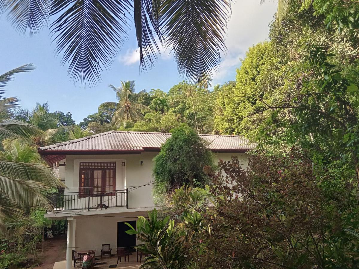 Jungle Village Homestay Pinnawala  Eksteriør bilde