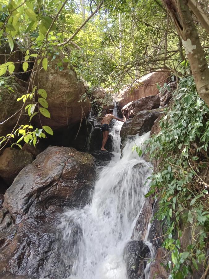 Jungle Village Homestay Pinnawala  Eksteriør bilde