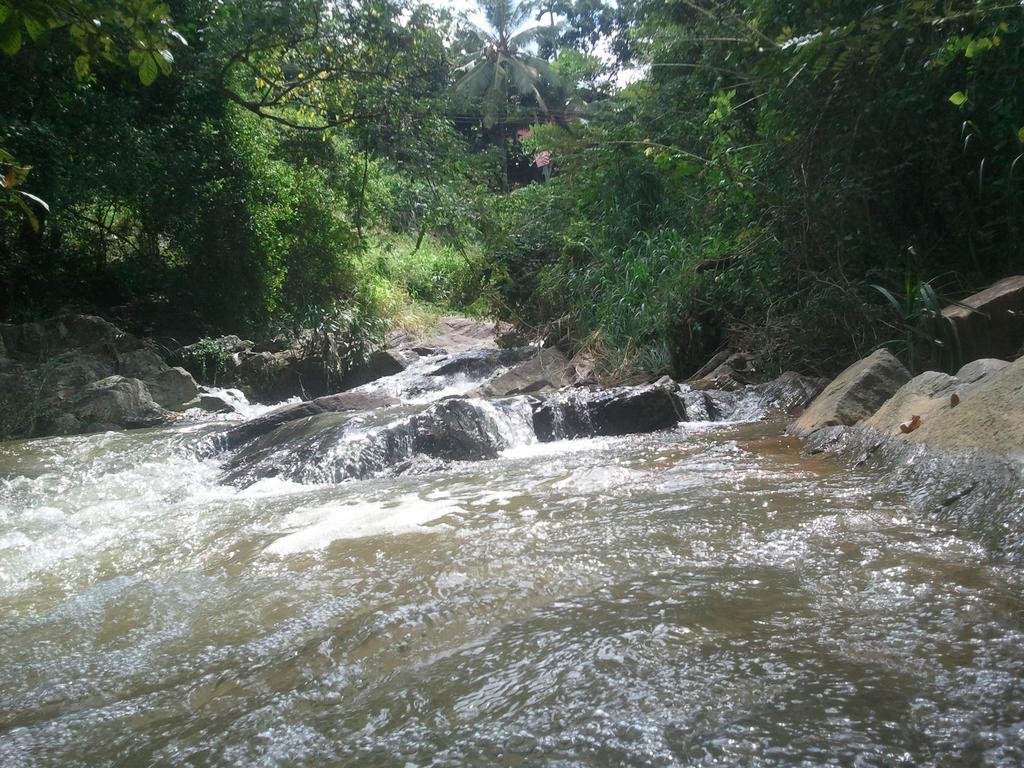 Jungle Village Homestay Pinnawala  Eksteriør bilde