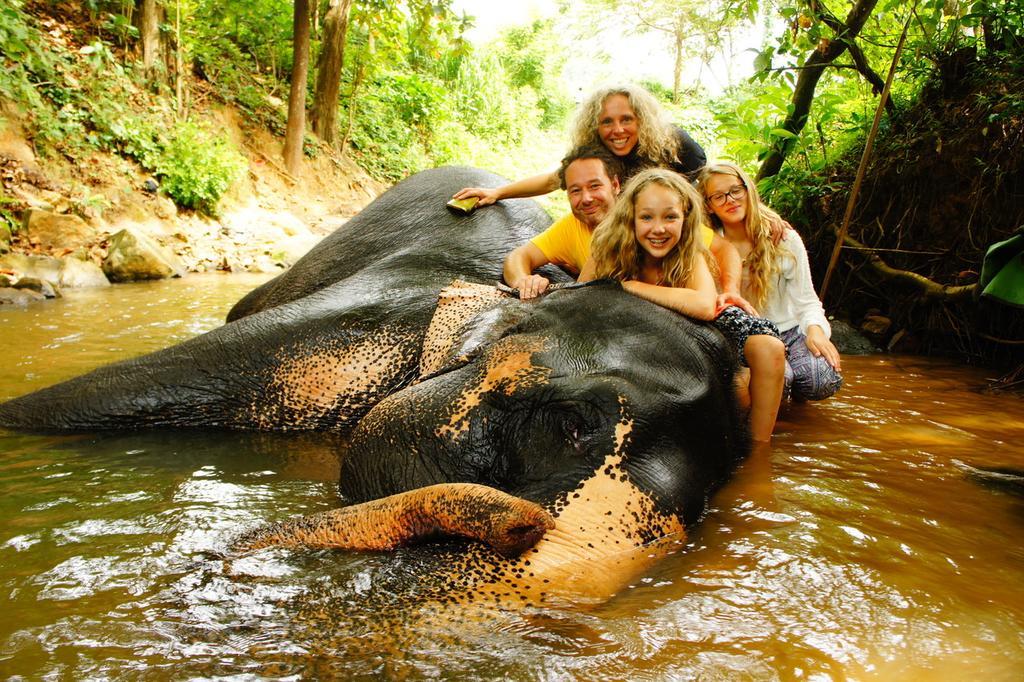 Jungle Village Homestay Pinnawala  Eksteriør bilde